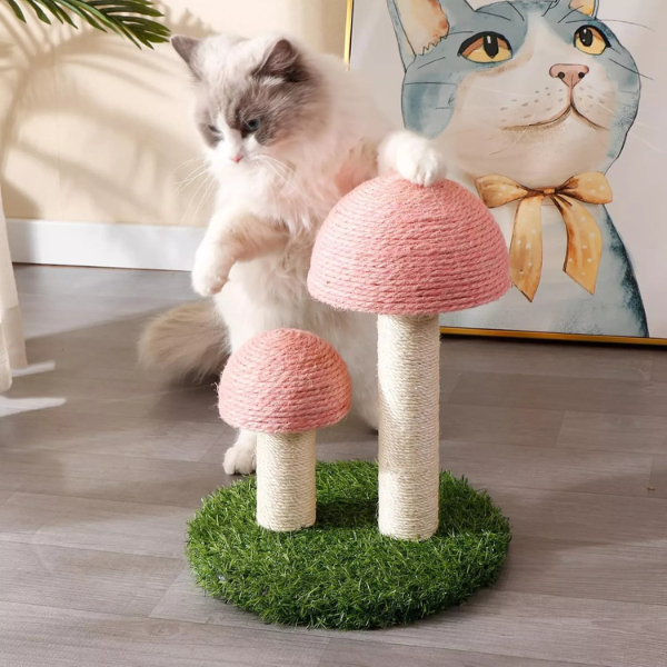 Cat playing with cat tree