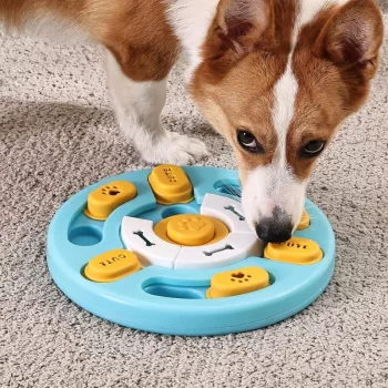 Interactive Slow Feeder Puzzle Bowl: Slow Eating + IQ Play